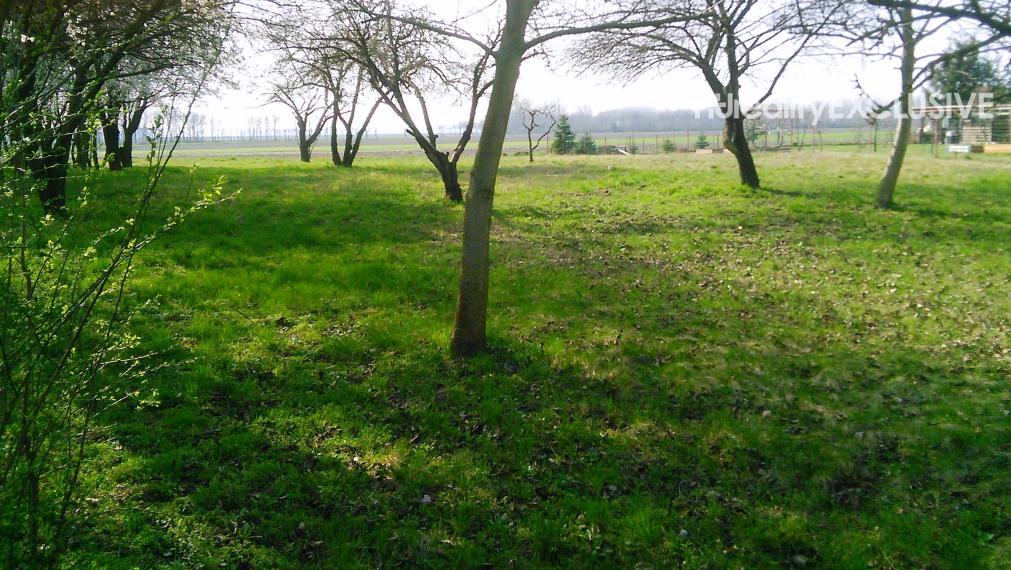 Predaj 1 816 m2 stavebného pozemku v blízkosti ramena, obec Dunasziget