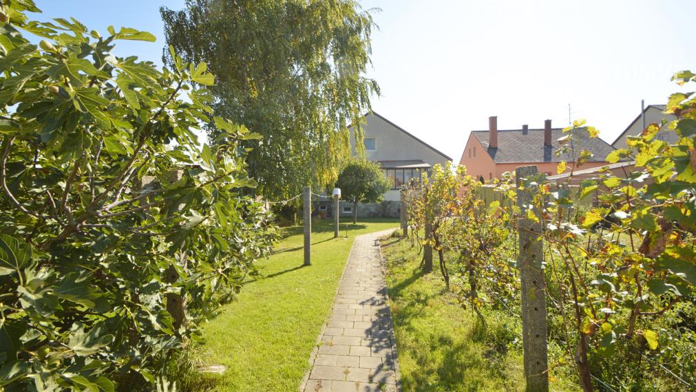 Predaj 5i rodinný dom, pozemok 800 m2, Hegyeshalom